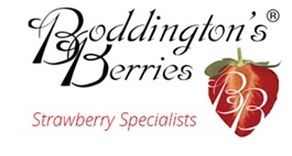 Boddingtons Berries