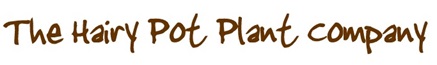 Hairy Pot Plant Company